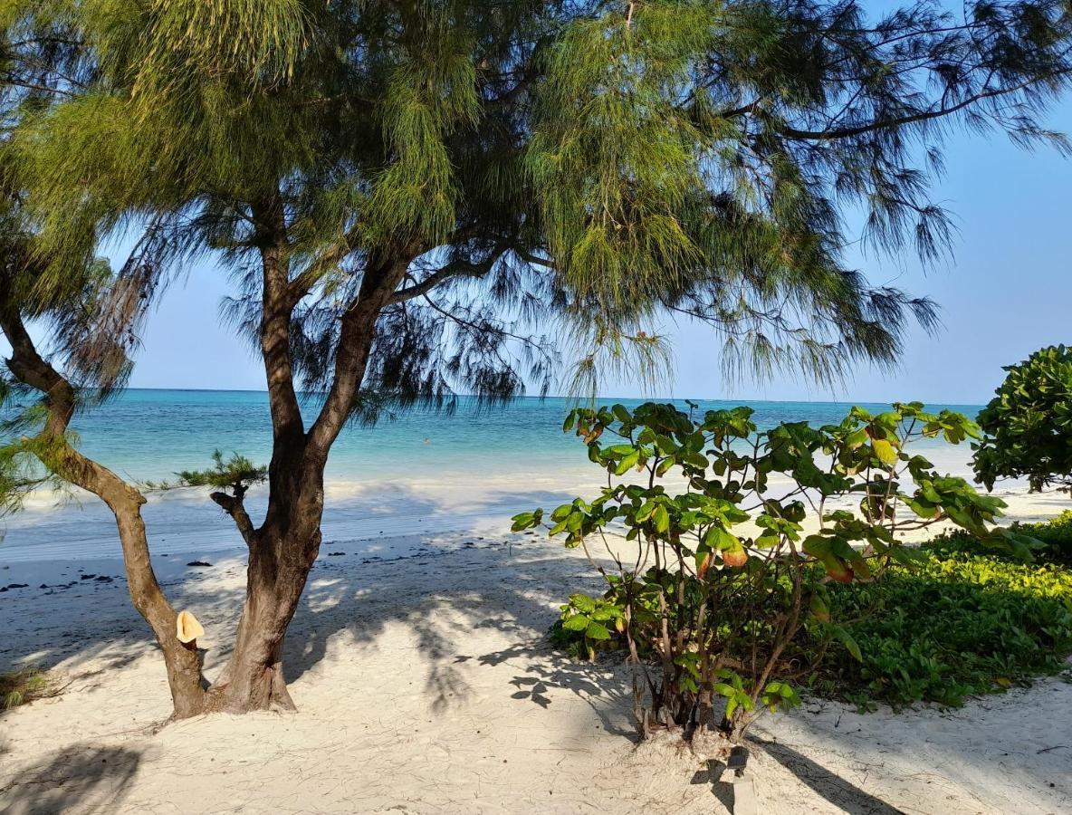 Kijani Beach Villas Bwejuu Esterno foto